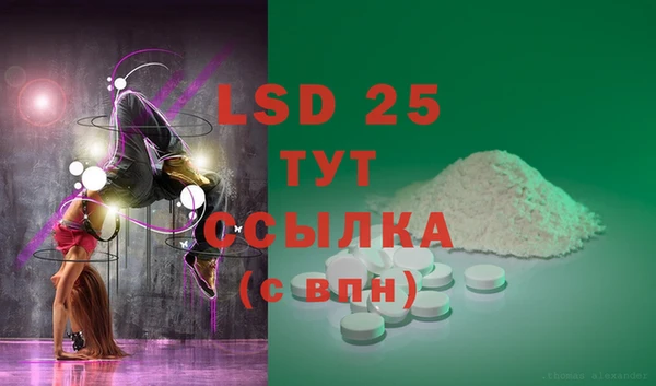 крисы Баксан