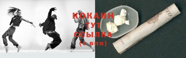 тгк Арсеньев