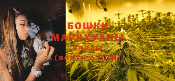 крисы Баксан