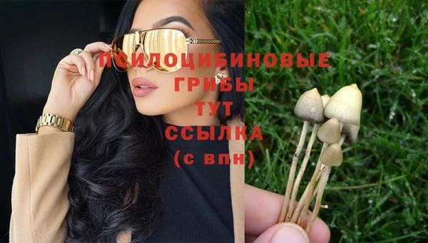 трава Армянск