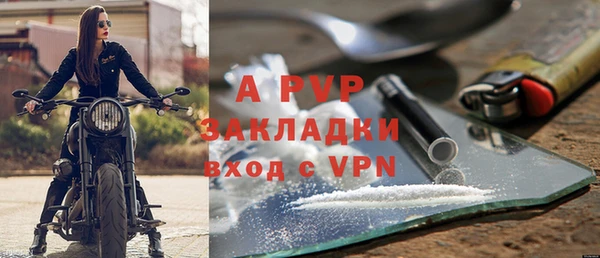 крисы Баксан