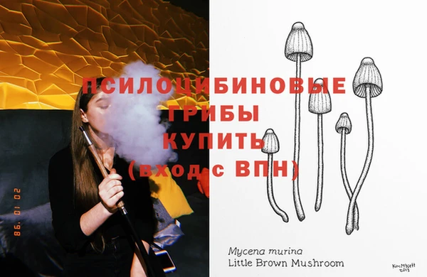 метадон Аркадак