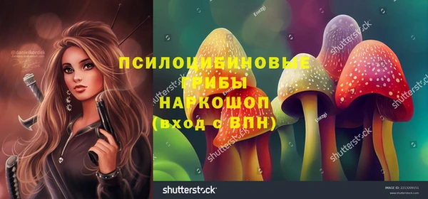 тгк Арсеньев