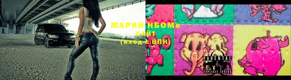 крисы Баксан
